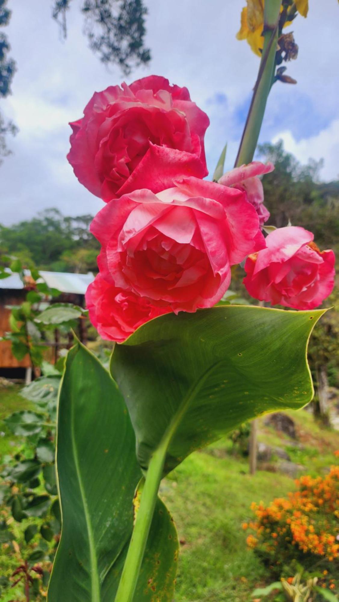 Hospedajes Richie Eco Camp Providencia 외부 사진