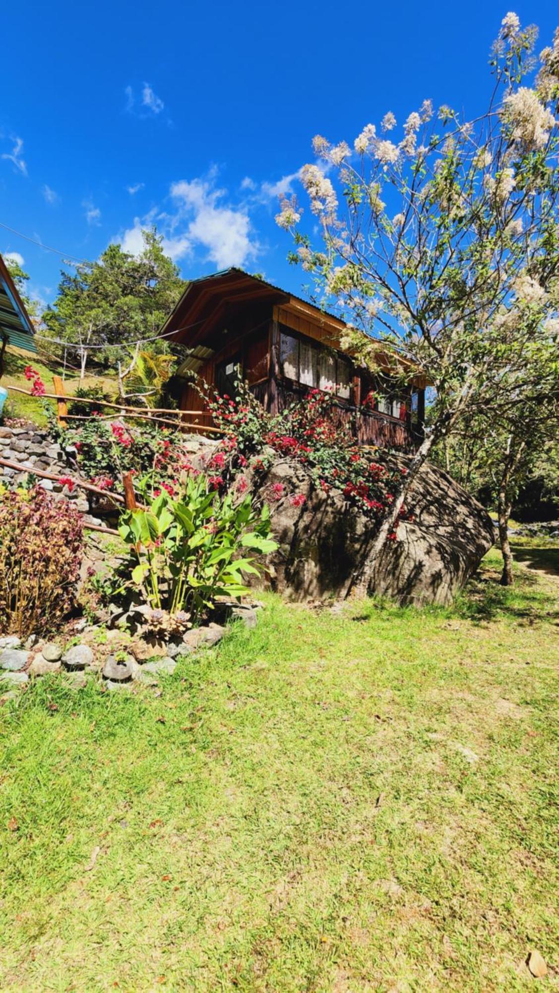Hospedajes Richie Eco Camp Providencia 외부 사진