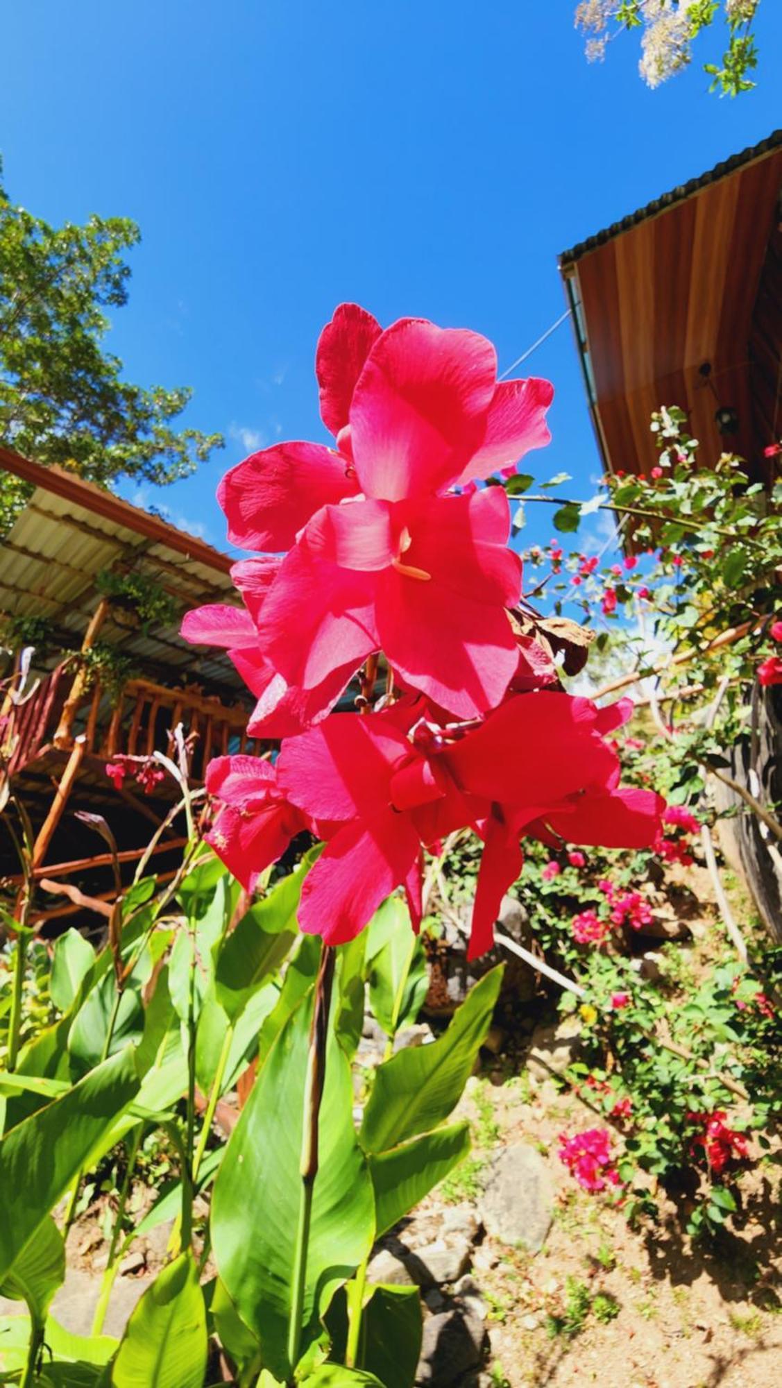 Hospedajes Richie Eco Camp Providencia 외부 사진