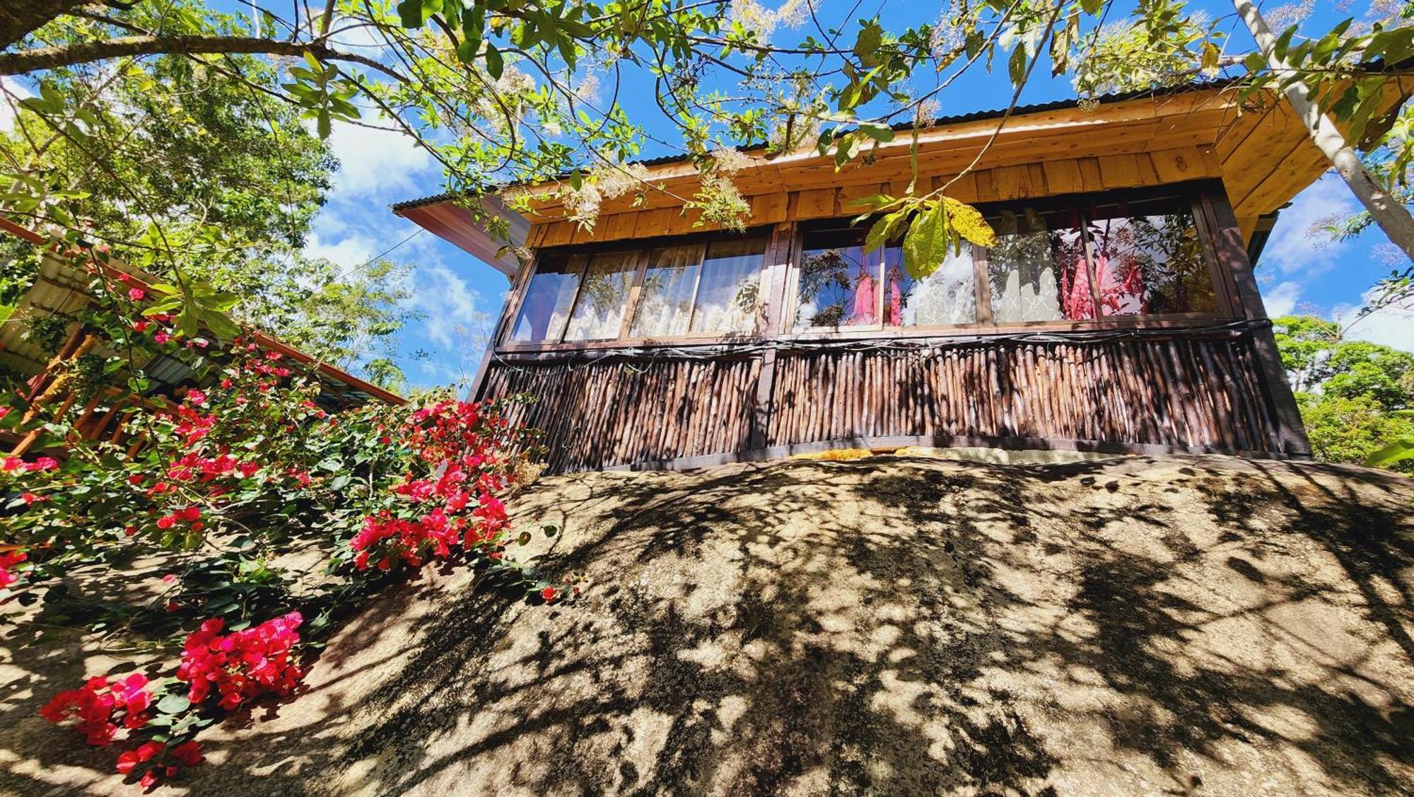Hospedajes Richie Eco Camp Providencia 외부 사진