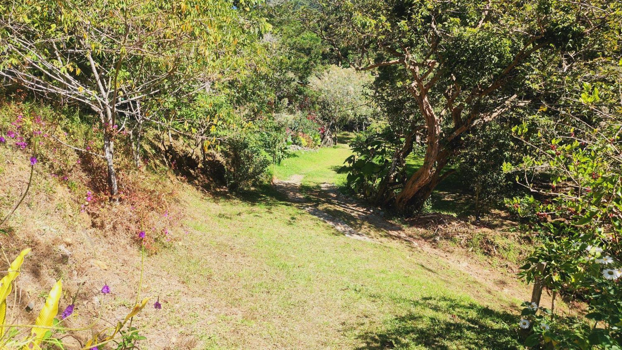 Hospedajes Richie Eco Camp Providencia 외부 사진