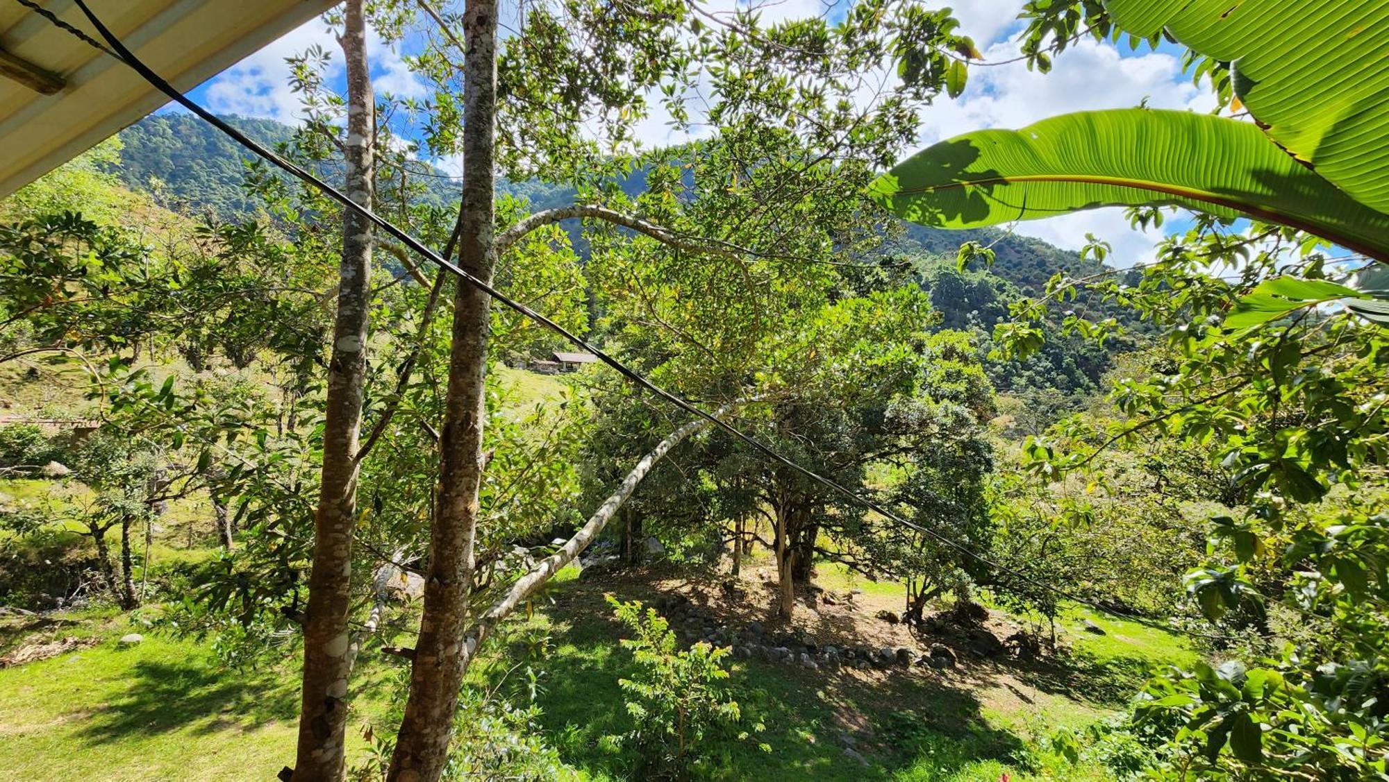 Hospedajes Richie Eco Camp Providencia 외부 사진